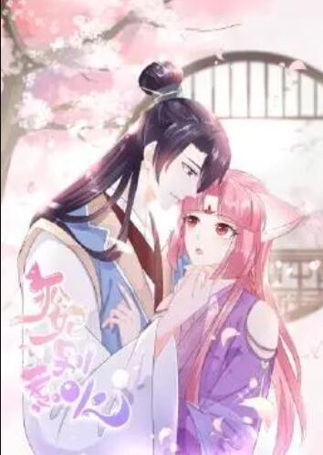 狐妃，別惹火