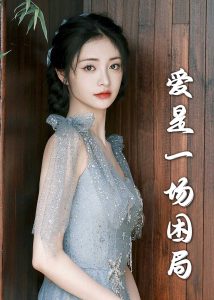 愛是一場困局30集(全集)