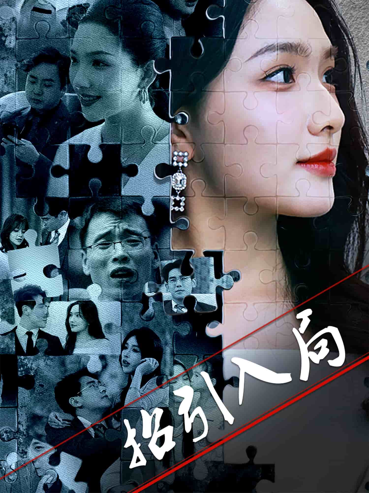 招引入局(全集)