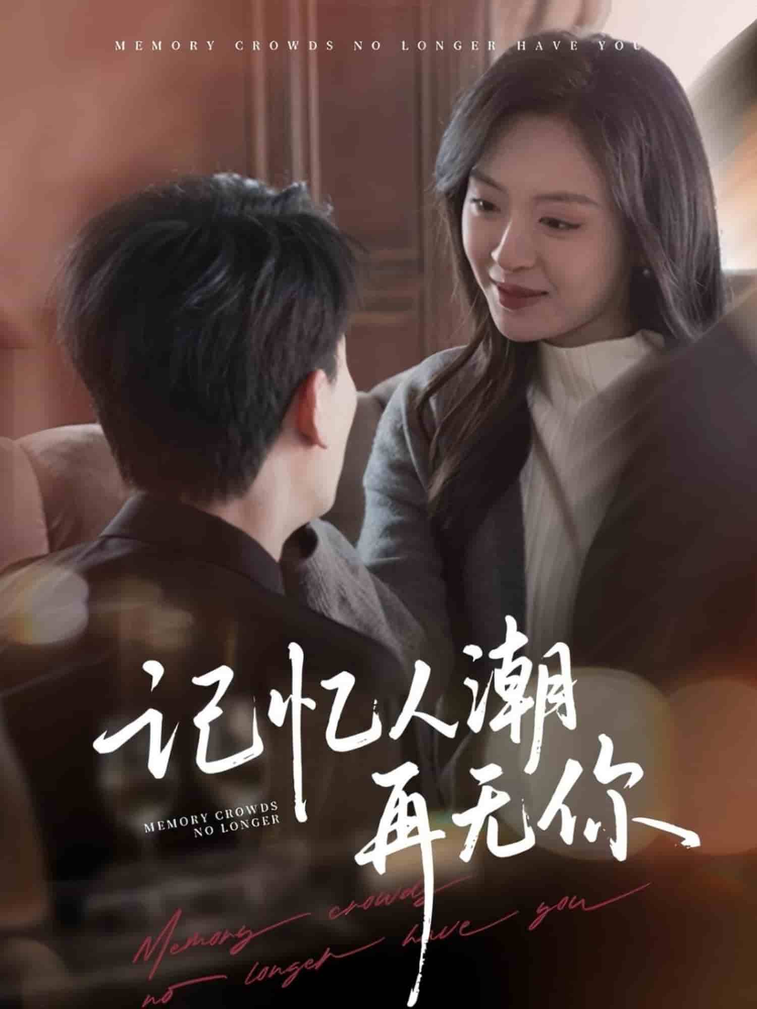 記憶人潮再無(wú)你(全集)