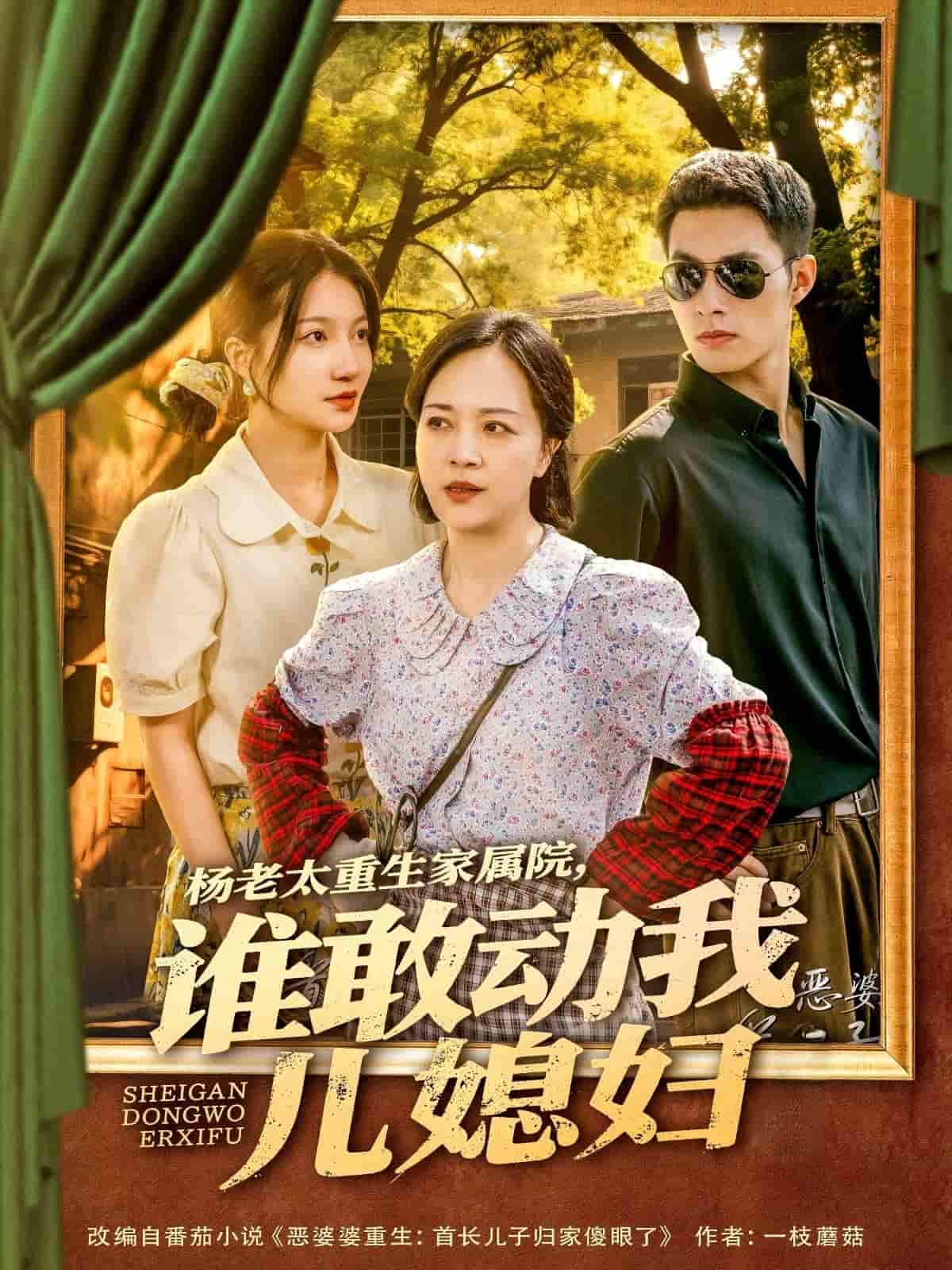 楊老太重生家屬院，誰敢動我兒媳婦(全集)