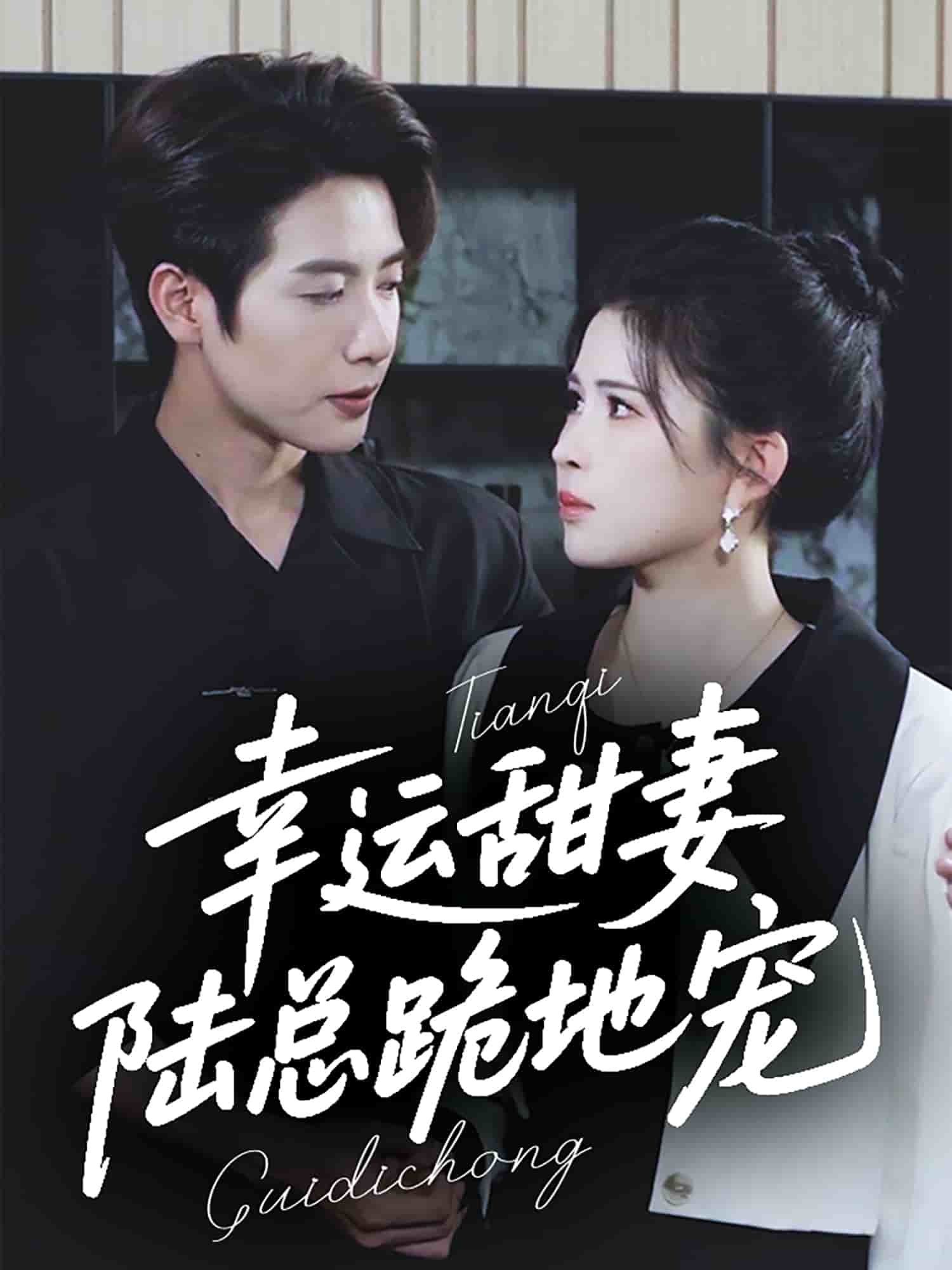 幸運(yùn)甜妻，陸總跪地寵(全集)