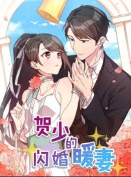 賀少的閃婚暖妻 動(dòng)態(tài)漫第一季(全集)