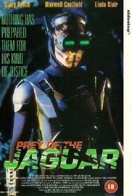 迎頭痛擊（國(guó)語(yǔ)版）