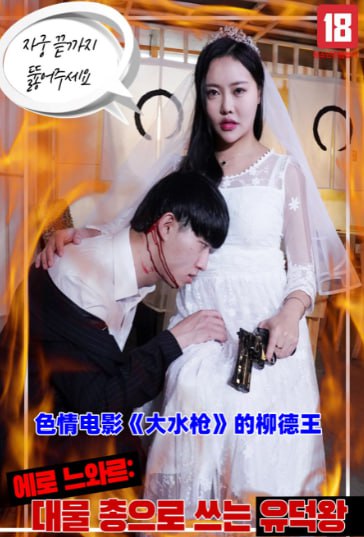 色情電影的柳德王