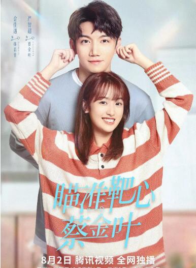 瞄準靶心！蔡金葉(全集)